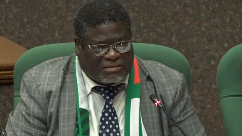 Somntongo MP Sandile Nxumalo makes a submission. 